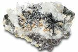 Pristine Goshenite Crystals with Fluorite and Schorl - Namibia #322777-1